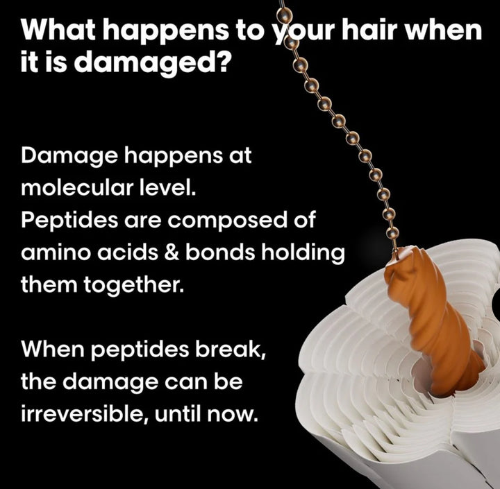 L'Oreal Absolut Repair Molecular Mask 500ml